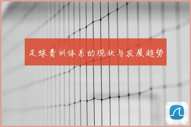 足球青训体系的现状与发展趋势