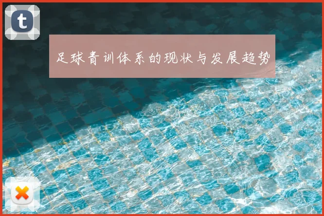 足球青训体系的现状与发展趋势
